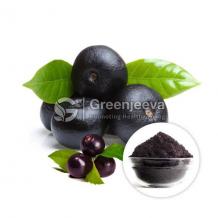 Bulk Organic Acai Berry Powder | Bulk Acai Berry Powder Supplier