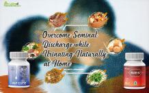 Overcome Seminal Discharge while Urinating Naturally at Home
