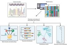   	Overview of Bioinformatics Services - Creative Proteomics  