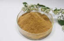 Senna Leaf Extract & Calcium Sennoside Manufacturers, Suppliers in India - Sab Herbals