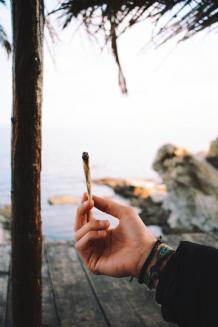juegos de marihuana