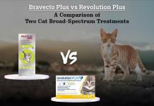Bravecto Plus vs Revolution Plus: A Comparison of Two Cat Broad-Spectrum Treatments