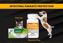 Intestinal Parasite Protection - Drontal & Drontal Plus | PetCareClub