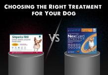 Simparica Trio or Nexgard Spectra: Choosing the Right Treatment for Your Dog