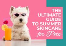 The Ultimate Guide to Summer Skin Care for Pets