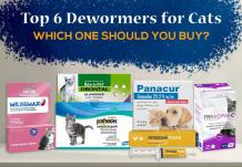 Top 6 Dewormers for Cats: Which One Should You Buy? | PetCareClub
