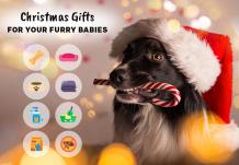 Best Christmas Gifts for your Furry Babies