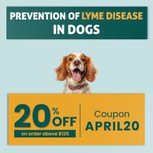 prevention of lyme disease in dogs month