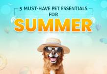 pet summer essentials by petcareclub