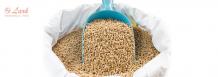 Important Factor in Pellet Feed Quality & Production | Lark Engineering