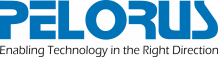 Unlocking Solutions &amp; Services - Pelorus