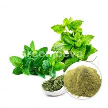 Bulk Organic Peppermint Leaf Powder | Organic Peppermint Powder Supplier