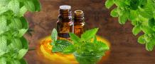 About Peppermint Oil