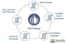 Perl Programming training in Bangalore | Best Perl course training | TIB 