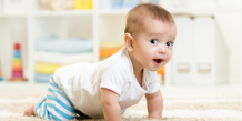 Is It Safe to Have Pest Control With Baby at Home?