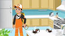 5 convincing reasons to hire professional pest control company