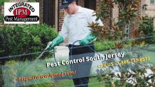 Pest Control South Jersey — imgbb.com
