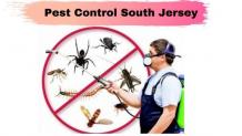Freedom from Pests! &#8211; Pest Management Services