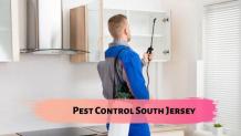 South Jersey Pest Control Services Are Here to Help You &#8211; Pest Management Services