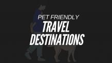 Pet-friendly places to visit | Pet friendly travel sites