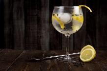 A G&amp;T Journey: Exploring the World of Distinctive Gin Brands - LOS ANGLES NEWS