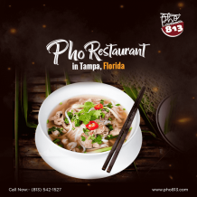 Looking Best Pho Restaurant Tampa, Florida?