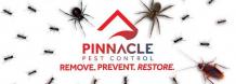 Termite Control Walnut Creek