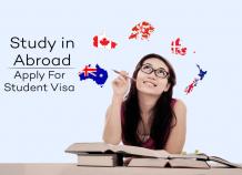 Everything About The Admission Process In The USA