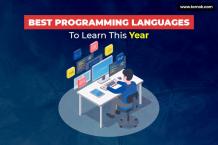 Best Programming Languages You Should Learn In 2020 | Temok Hosting Blog