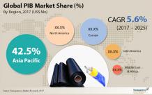 Polyisobutylene Market To Touch US$6.39 Bn By 2025