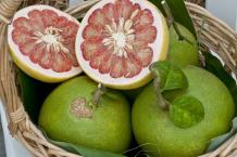 Benefits of Pomelo | Organic Health Planet