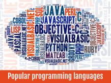 Which Are The Top 7 Programming Languages For Software Development? - Zaptech Solutions