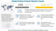 Potato Protein Market Report Size, Share and Forecast [Latest]