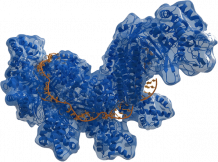 Design and Synthesis of Haptens for Ochratoxin A (OTA) - Creative Biolabs