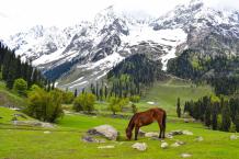 7 Best Places to Visit in Kashmir for a Honeymoon