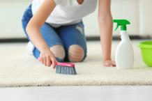 Why You Should Hire a Professional Carpet Cleaner &#8211; Home Improvement &amp; Cleaning Services Blog