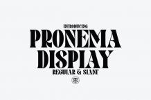 Pronema Font Free Download Similar | FreeFontify