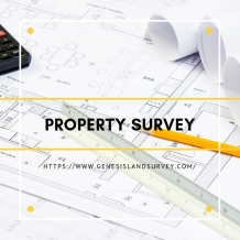 property survey    