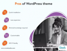 pros-of-wordpress-theme