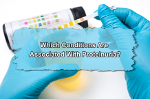 Which Conditions Are Associated With Proteinuria?