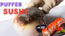 Puffer Fish Sushi Delight: A Culinary Adventure