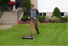 A Quick Guide To Summer Lawn Care  