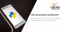 Python web development