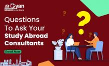 Top 11 Questions You Must Ask Your Study Abroad Consultant