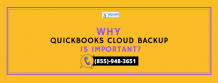 Why QuickBooks Cloud Backup Is Necessary?