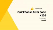 QuickBooks Error Code H202