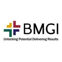 BMGI India: A Global Consulting Firm Redefining Excellence in India's Consulting Landscape