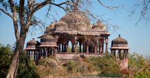 What Are the Top Things to Do in Ranthambore?