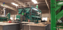 Automatic Raw Cashew Nut Sizing System, Cashew Nut Size Grading Machine Manufacturer Supplier, Kaju Sizing Machine