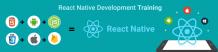 React Native Industrial Training in Mohali | Chandigarh - Erginous